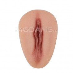 Lèvres de vulve en silicone Faux vagin Accessoires travestis 9 modèles disponibles